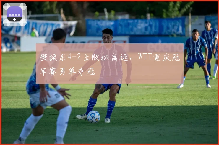 樊振东4-2击败林高远，WTT重庆冠军赛男单夺冠